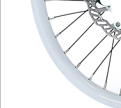 Weißes 18-Zoll-Aluminium STRIDA Speichen-Laufrad vorne - 18 Zoll - 448-18-spoke-white-front - Rad